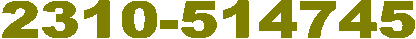 2310514745